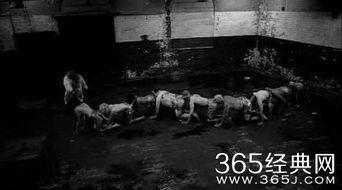 人体蜈蚣4手机在线观看,手机在线惊悚之旅 第3张 人体蜈蚣4手机在线观看,手机在线惊悚之旅 第3张