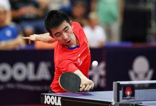 马特乒乓爆料最新消息,最新乒乓球界动态揭秘  第2张