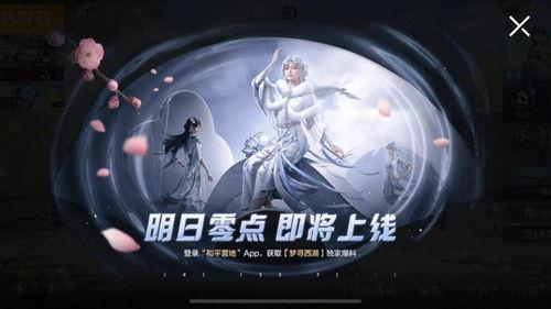 流星男主被爆料视频,揭秘背后真相与争议 第3张 流星男主被爆料视频,揭秘背后真相与争议 第3张